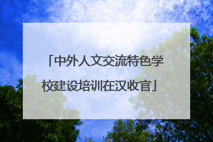 中外人文交流特色学校建设培训在汉收官